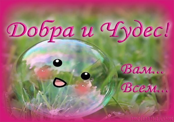 Хорошего дня чудо