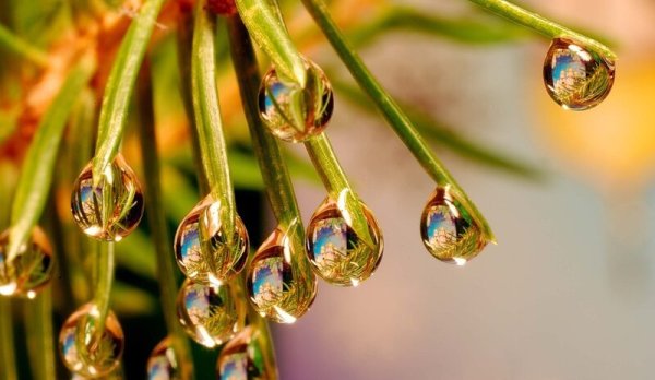 Чудеса мотиватор