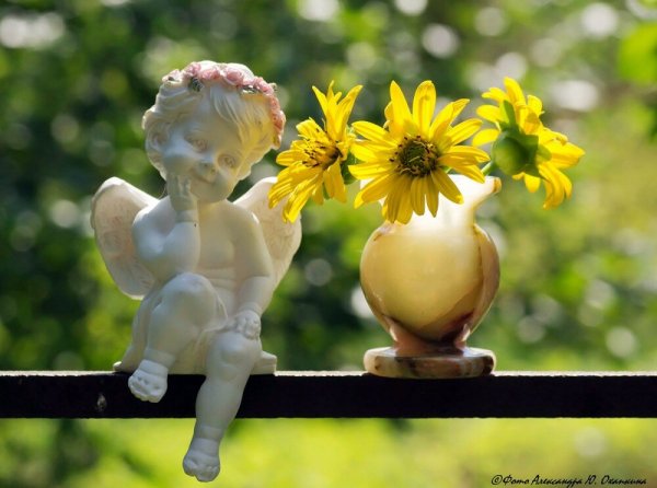 Душевного тепла и солнечного настроения