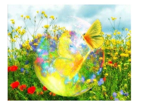 Здоровье бесценный дар природы