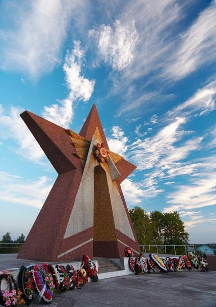 День освобождения г Воронежа от немецко- фашистских захватчиков