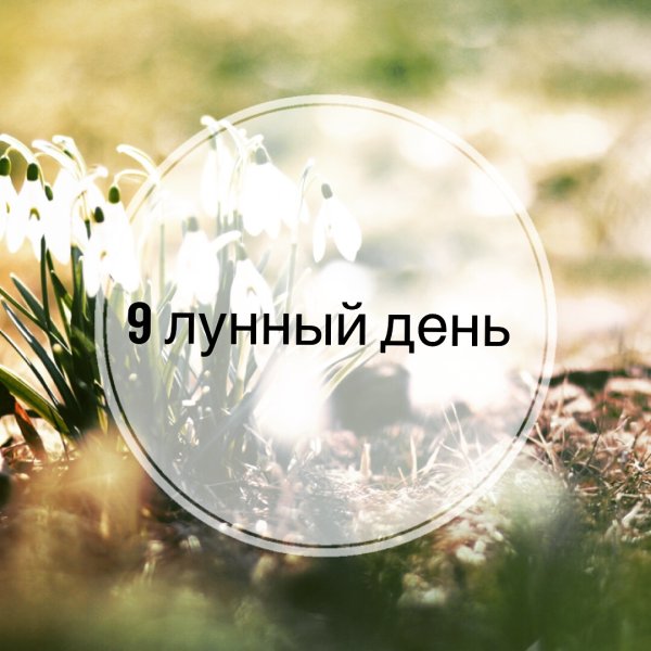 Девятые лунные сутки