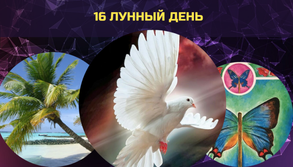 16 Лунные сутки символ