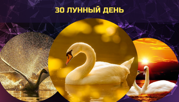 Символ 30 лунного дня