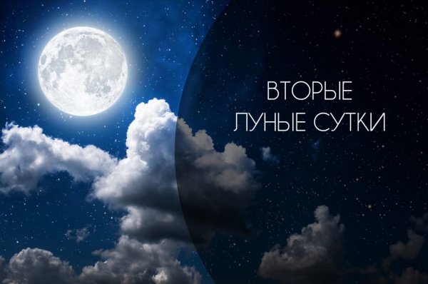 11 Лунные сутки