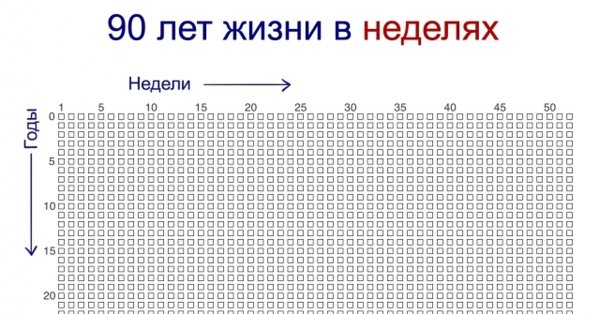 Таблица 90 лет жизни в неделях