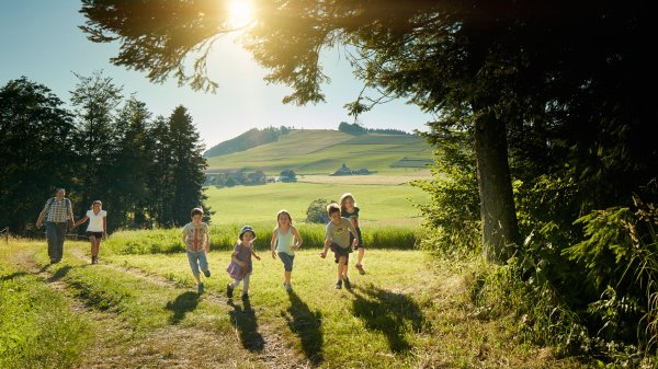 Летом в парке