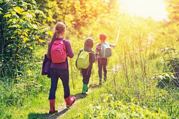 Краснодар парк Ботанический сад