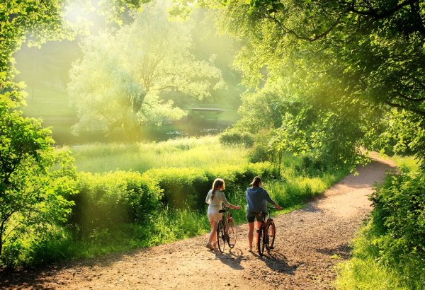 Прогулка в Солнечный день