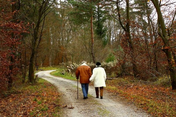 Здоровый образ жизни прогулка