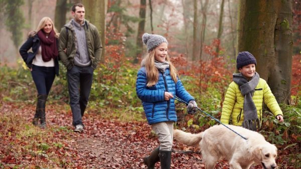 Хорошей прогулки пожелание