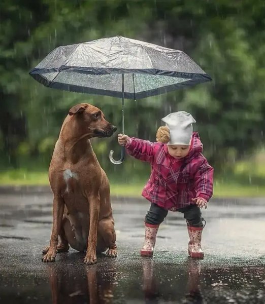 Люди в парке