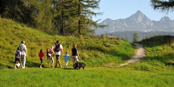Международный день прогулки 19 июня