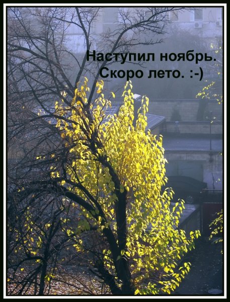 Тихо сейчас припев будет