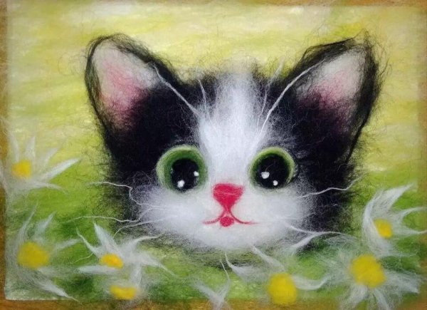 Вещи из Войлока