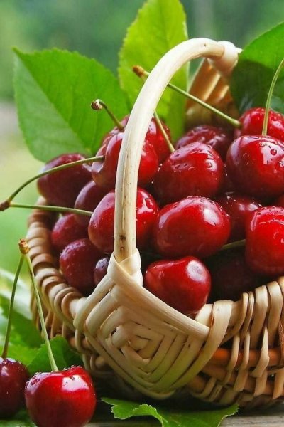 Фрукты и ягоды