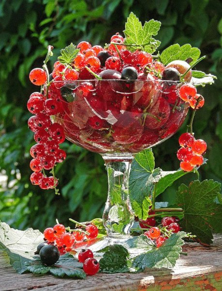 Доброе утро фрукты