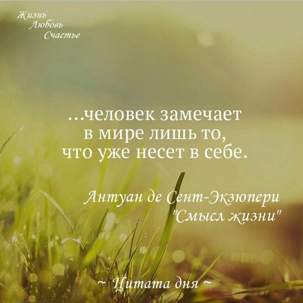 Умные фразы