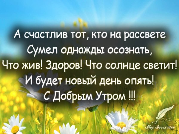 Доброе утро цитаты афоризмы