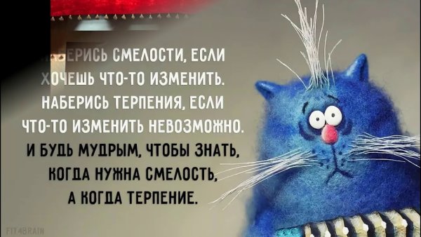 Афоризмы на каждый день прикольные