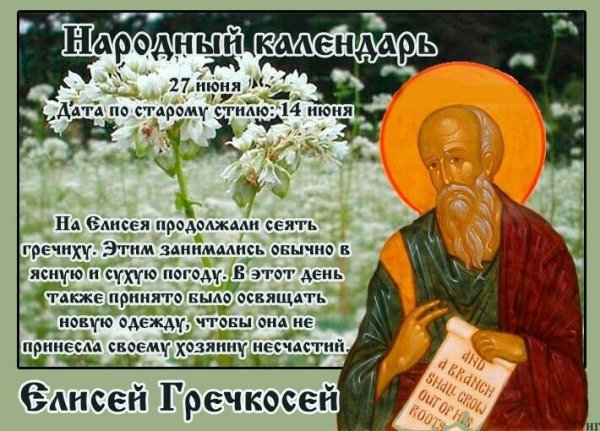 Елисей Гречкосей 27 июня