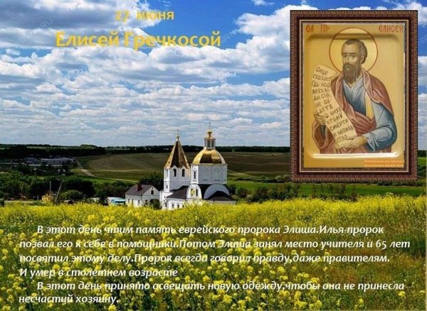 27 Июня в народном календаре Елисей Гречкосей