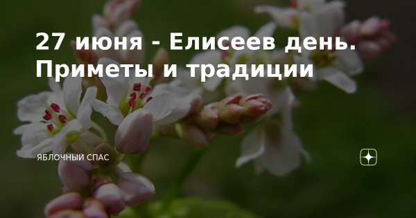 Елисей Гречкосей 27 июня