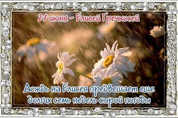 Екатерина Елисеева художник