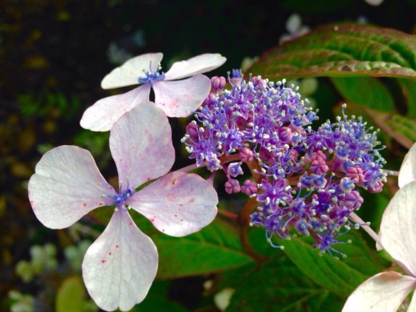 Художник Елисеев Андрей Александрович