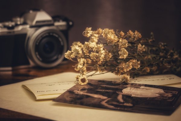 Картинки воспоминания о любви цветы и ТД