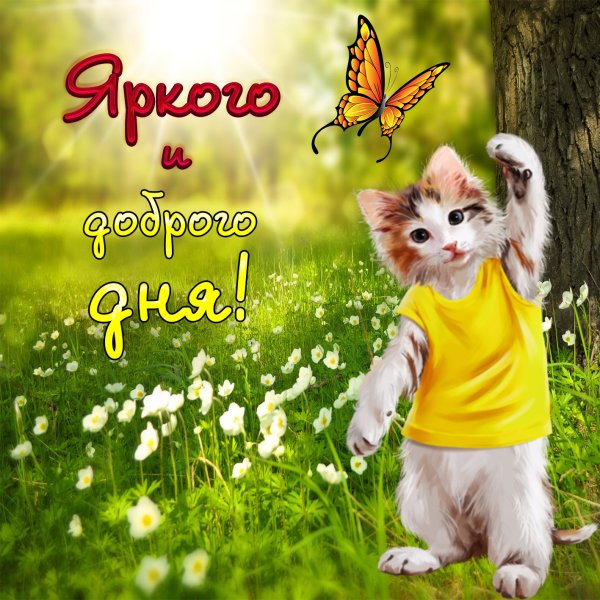 Добрый день