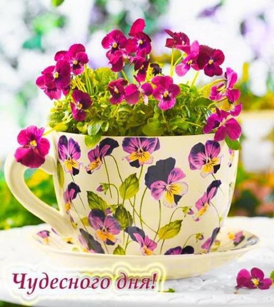 Цветы в кружке