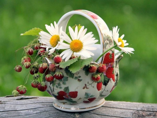 Доброе летнее утречко