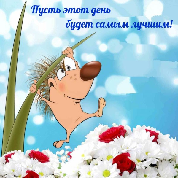 Пожелания на весь день