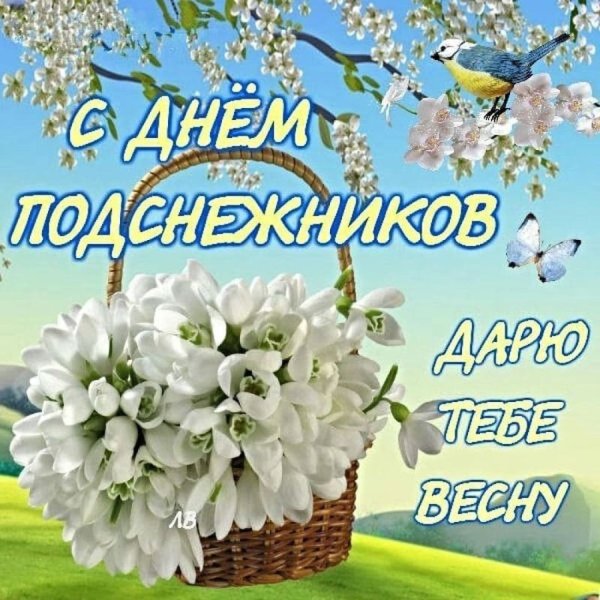 С днем подснежника открытки