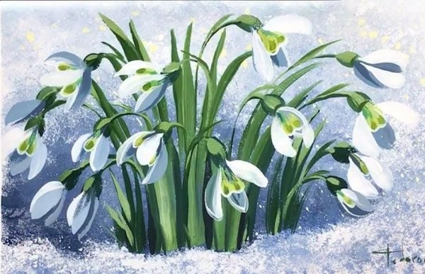 День подснежника (the Day of Snowdrop)