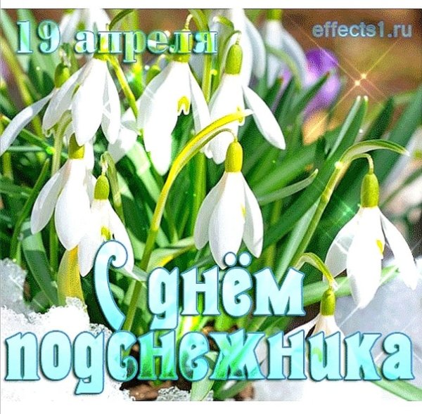 19 Апреля Подснежник