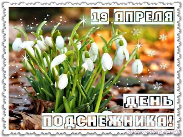 Открытки с подснежниками