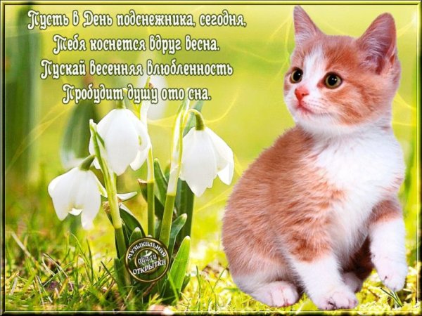 19 Апреля день подснежника