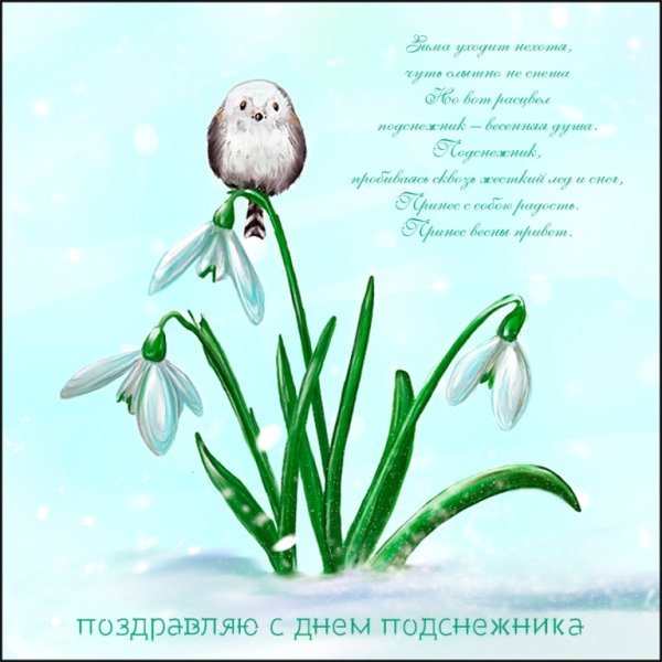 Галантус Альпийский