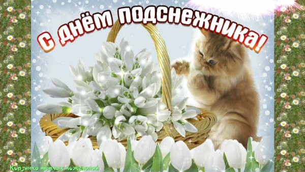 День подснежника