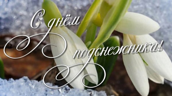 С днем подснежника открытки