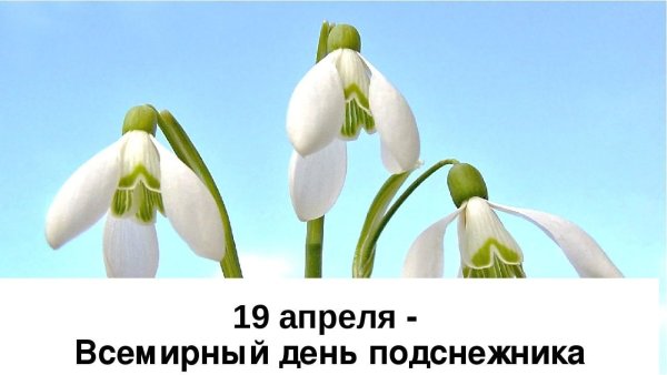 19 Апреля день подснежника