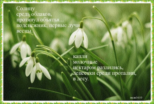 Апрель Подснежник