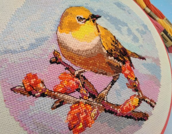 Всемирный день вышивания