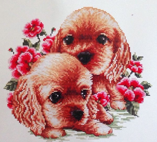 Вышивка собака со щенками