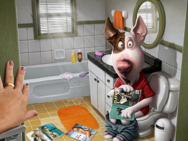 Смешные фразы про шапку