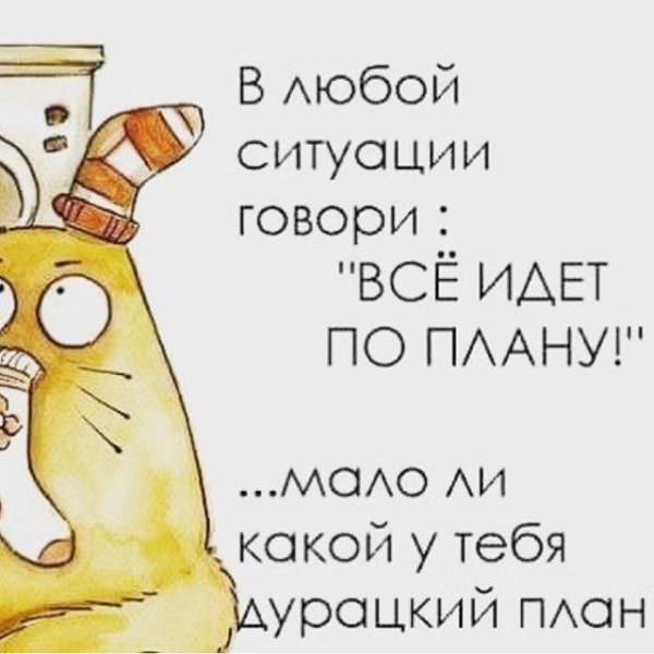 Иллюстрации Элины Эллис