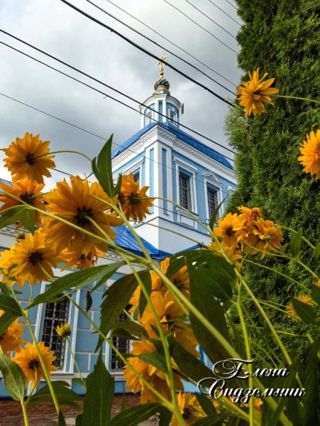 Картинка дня сегодня