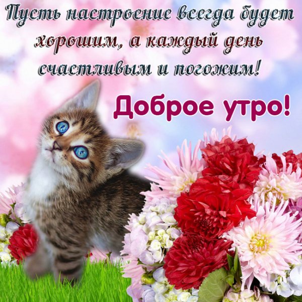 Открытка "хорошего настроения"